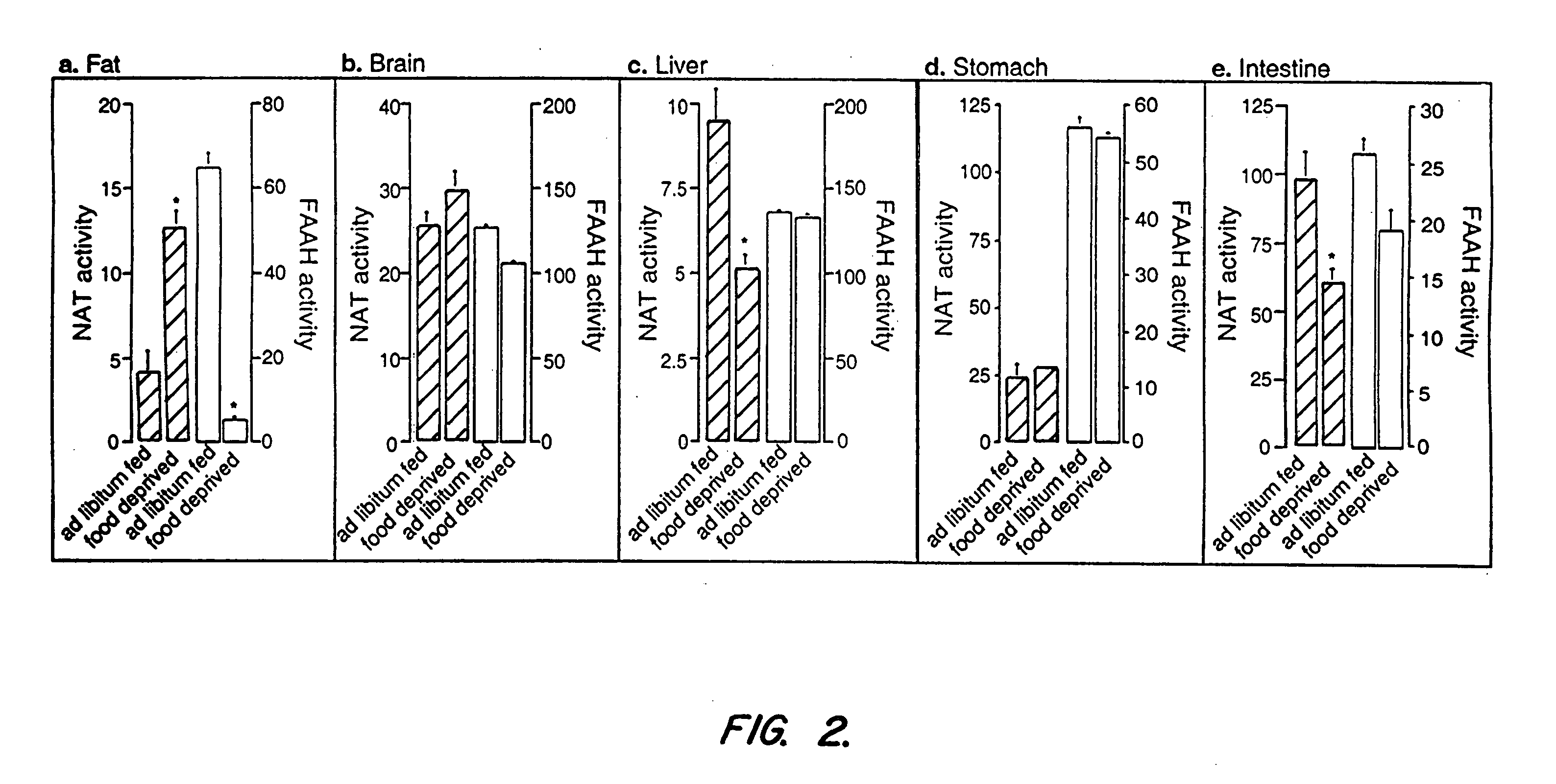 Dietary and other compositions, compounds, and methods for reducing body fat, controlling appetite, and modulating fatty acid metabolism