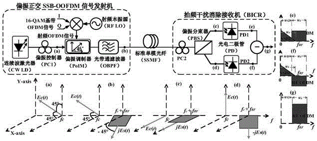 SSB (Single Side Band)-OOFDM (Optical Orthogonal Frequency Division Multiplexing) link implementation method and system for beat interference cancellation