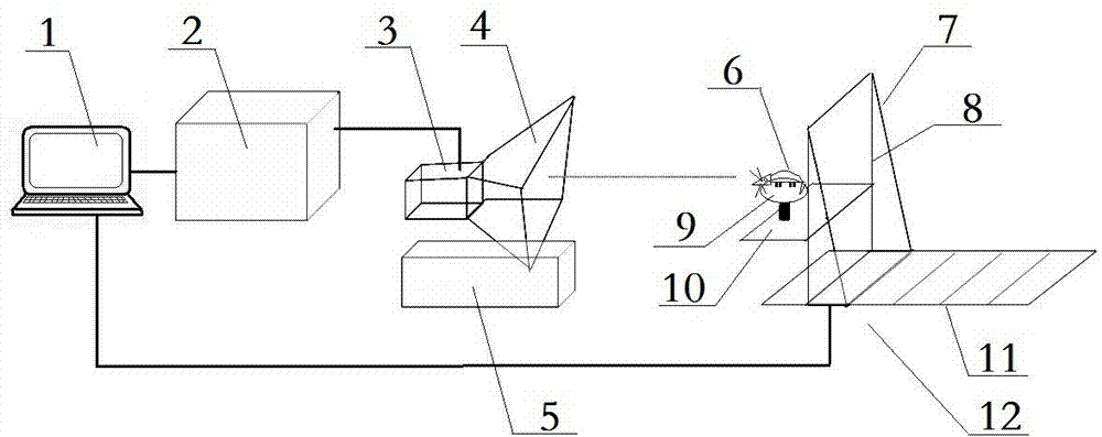 Living animal electromagnetic irradiation system and application method thereof