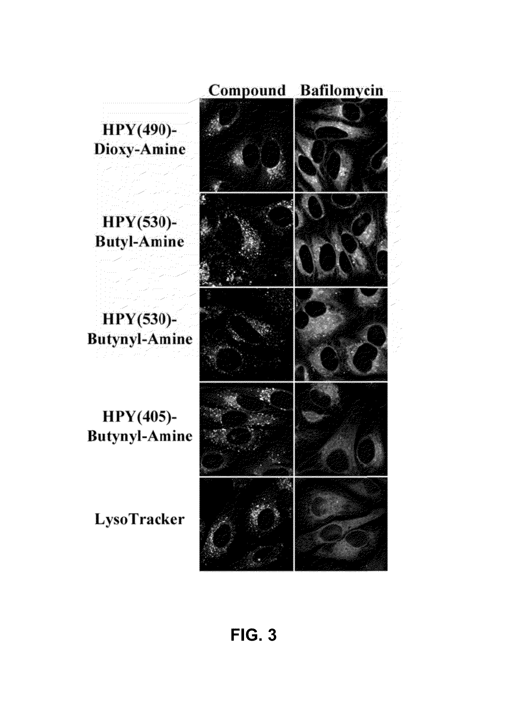 Synthesis and applications of triazaborolopyridinium compounds and substituted triazaborolopyridinium compounds and methods of use