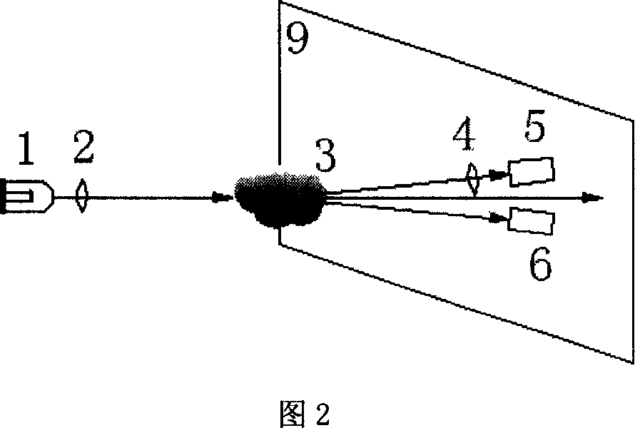 Photoelectric smoke sensing fire detecting method and apparatus based on depolarization rate