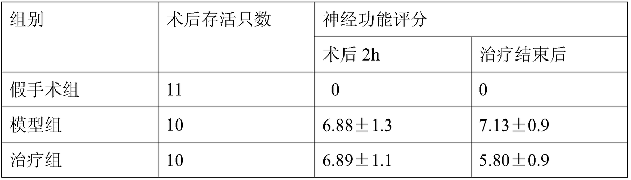 Traditional Chinese medicine preparation for external use for treating stroke and preparation method thereof