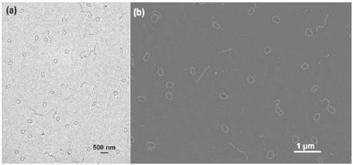 Preparation method of polymer core nano ring of core-shell structure