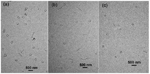 Preparation method of polymer core nano ring of core-shell structure