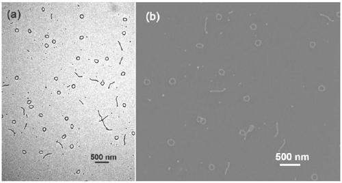 Preparation method of polymer core nano ring of core-shell structure