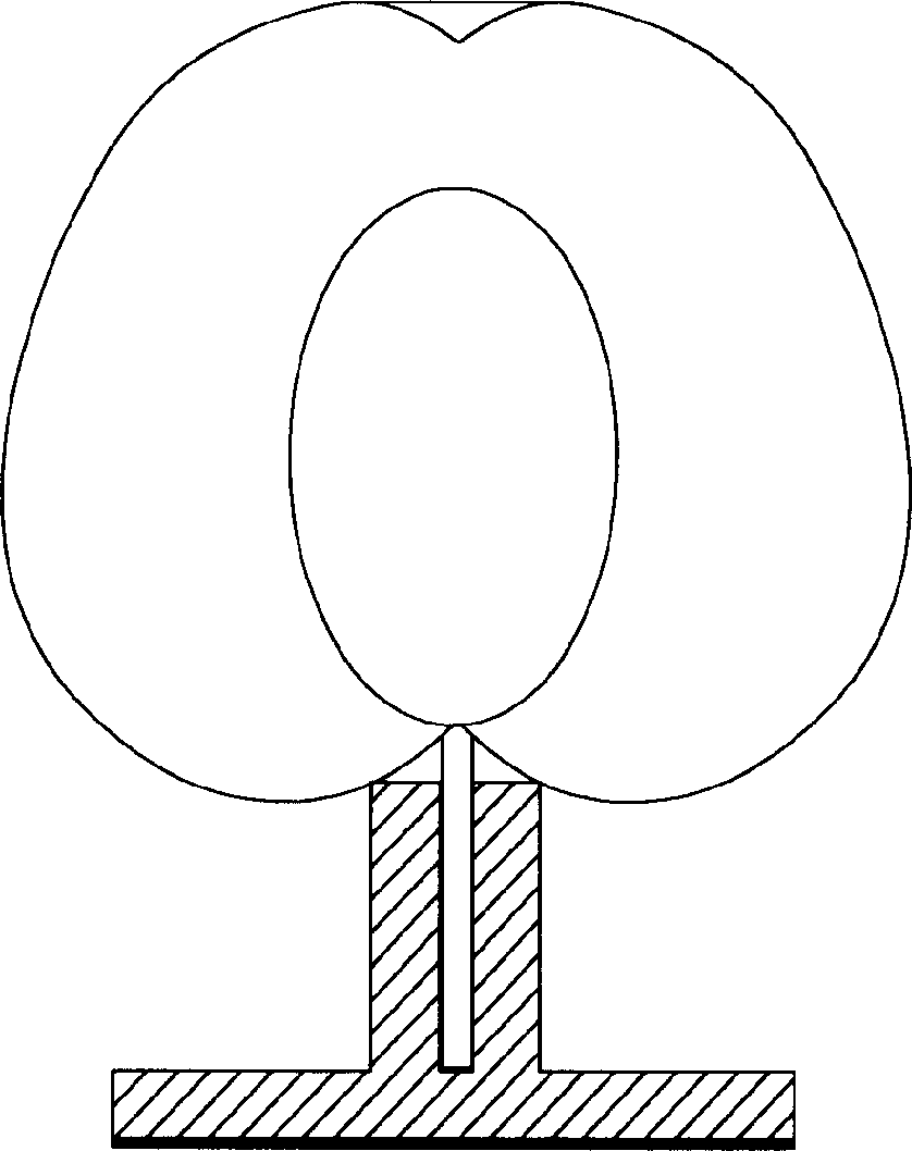 Fruit support device and method