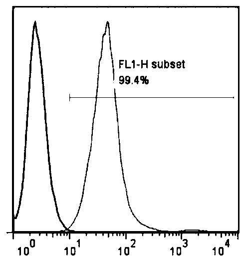 Constructing method of AFFT1 cells