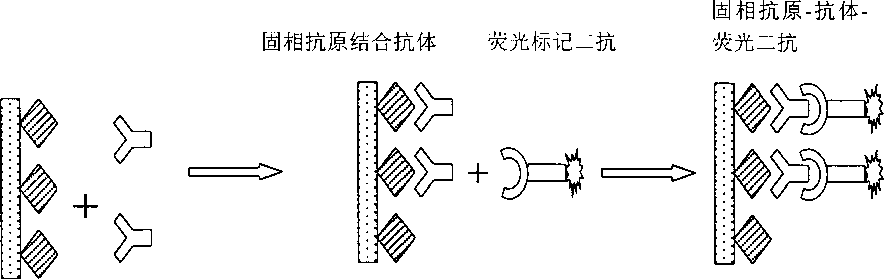 Polynary immunoassay board