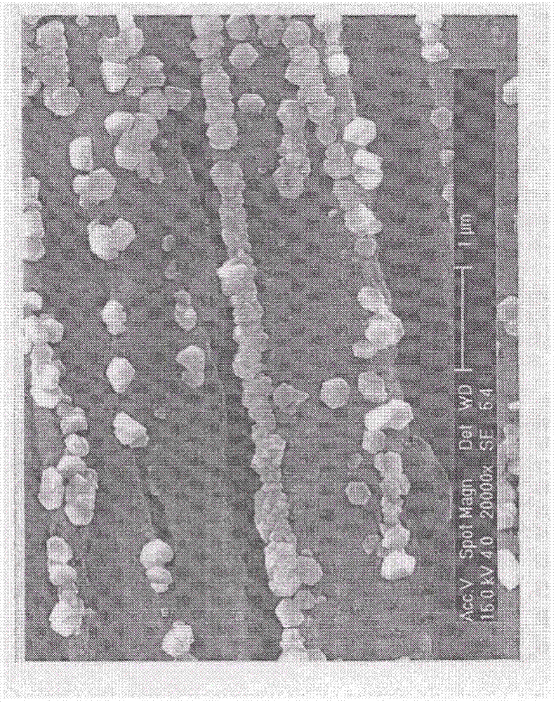 Method for producing metal complex quantum crystals