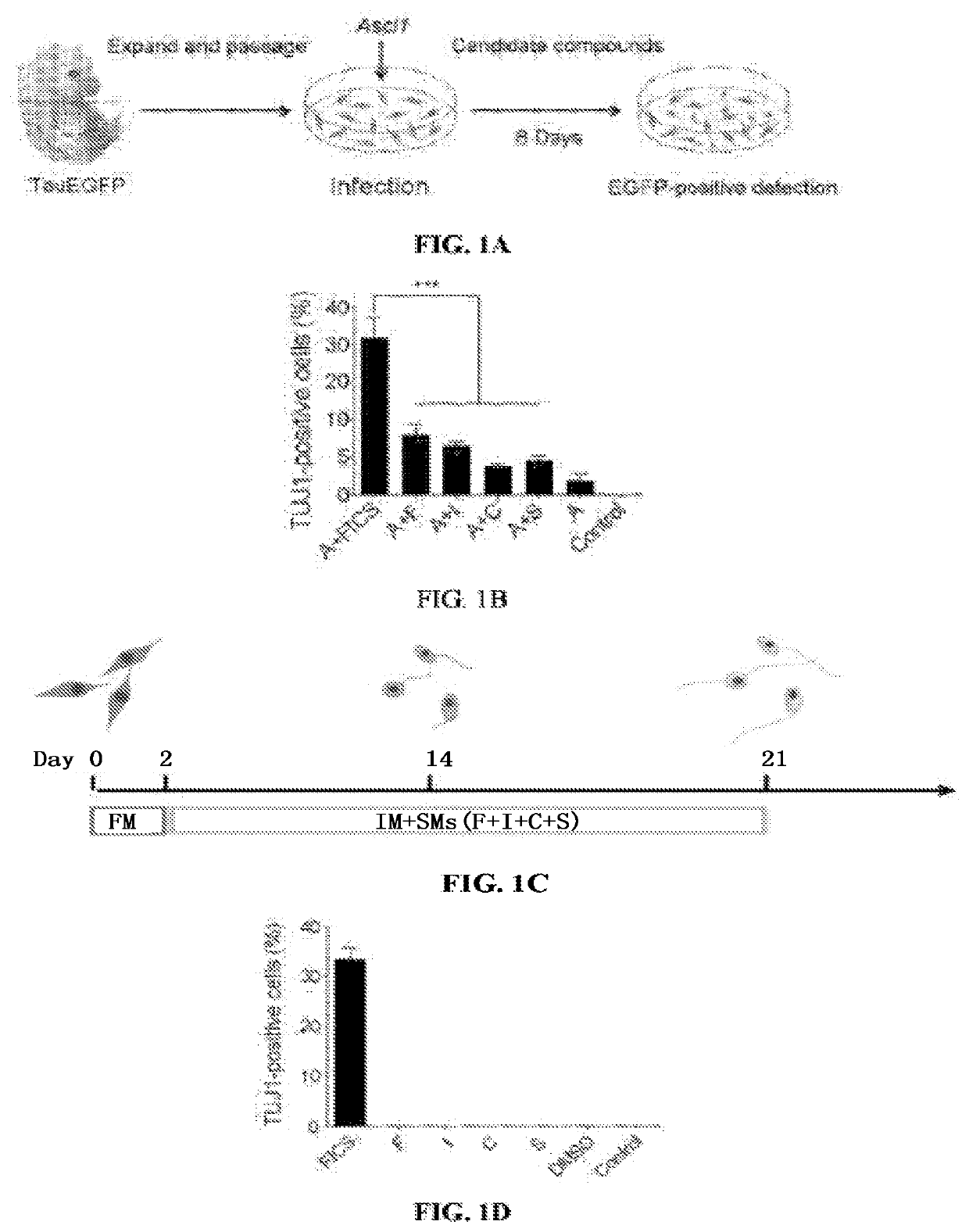 Compositions and methods for reprogramming non-neuronal cells into neuron-like cells