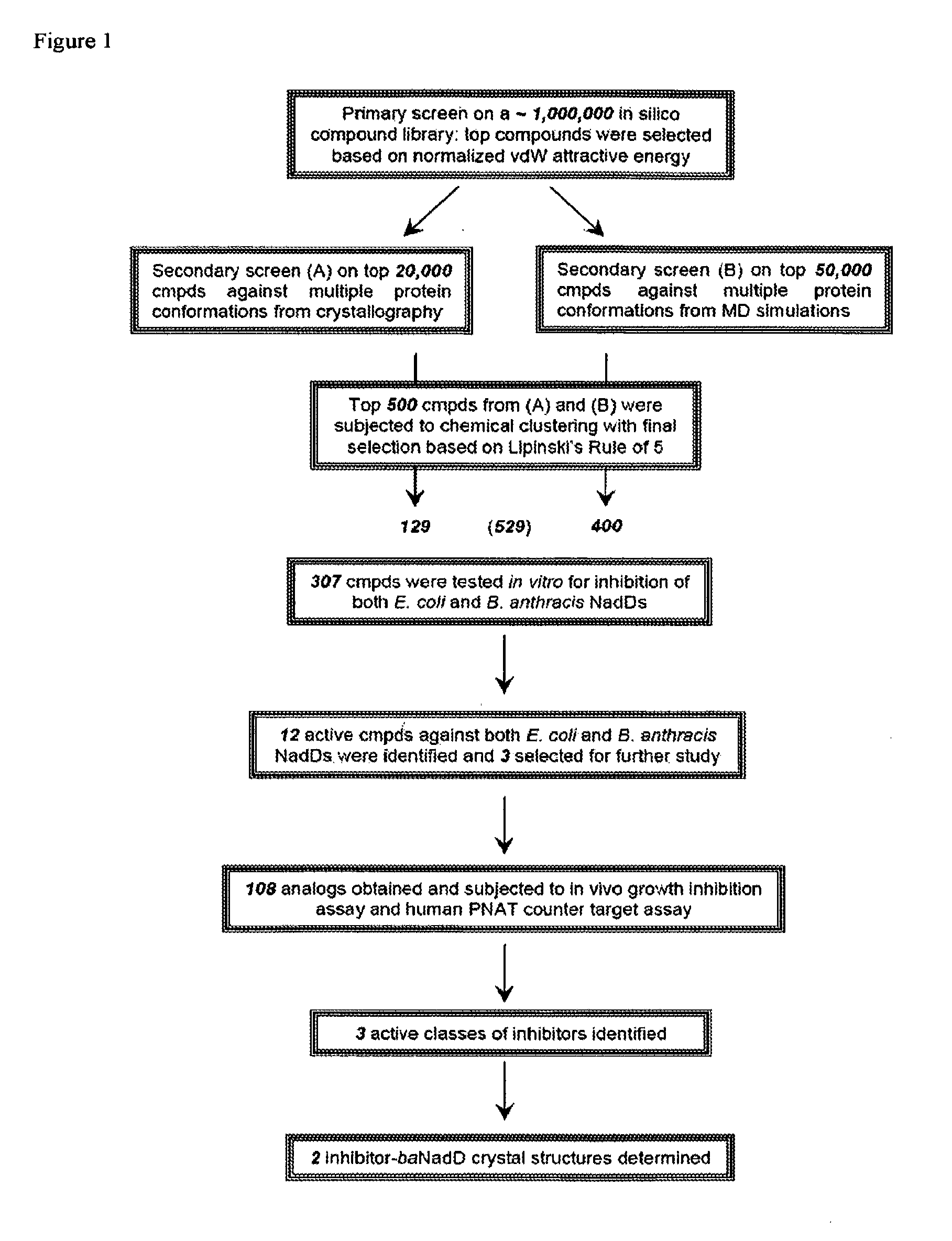 Targeting nad biosynthesis in bacterial pathogens