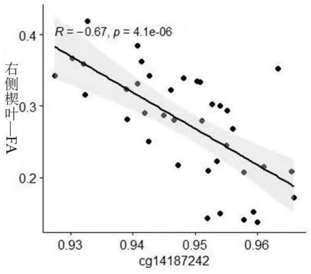 Multimodal fusion analysis method of genetic image based on white matter integrity and DNA methylation