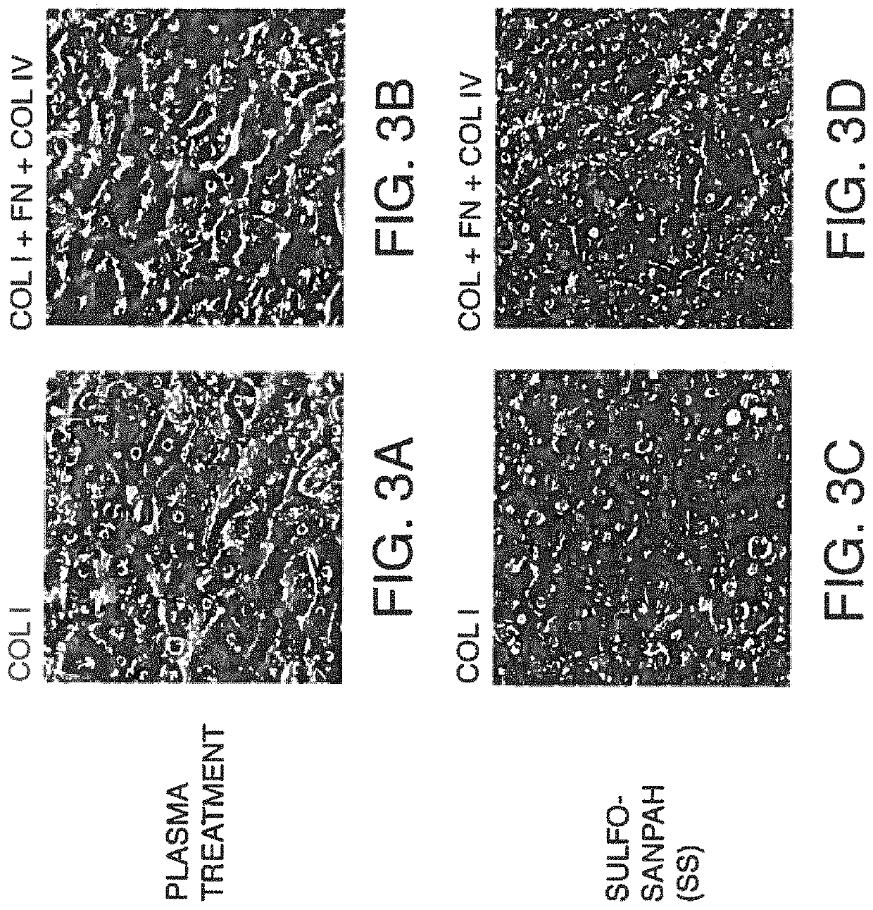 Compositions and methods of cell attachment