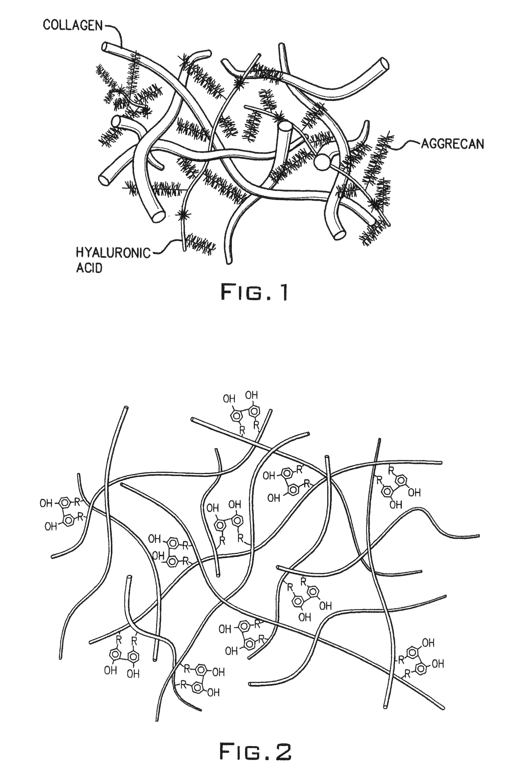 Hydroxyphenyl cross-linked macromolecular network and applications thereof