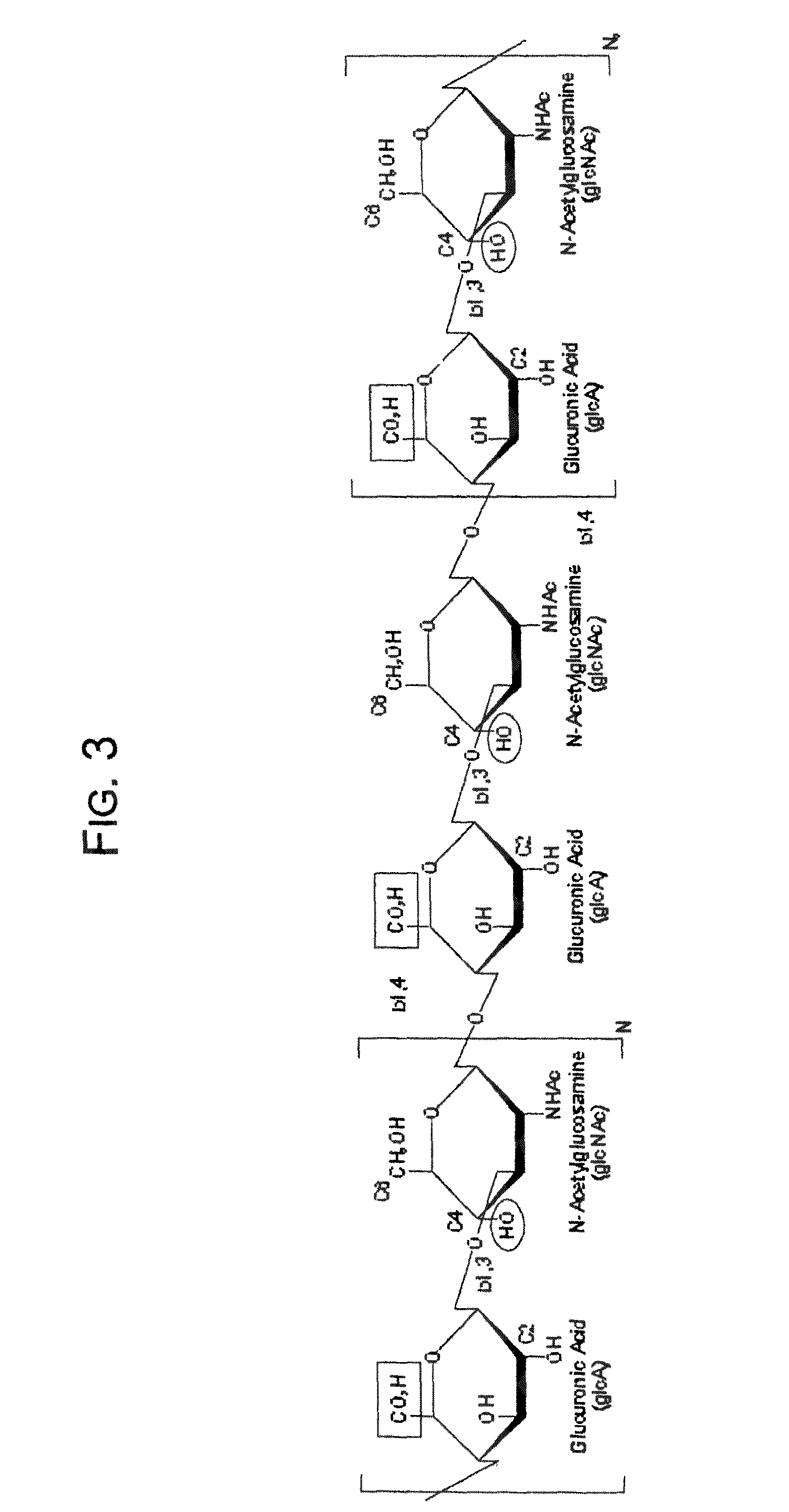 Hydroxyphenyl cross-linked macromolecular network and applications thereof