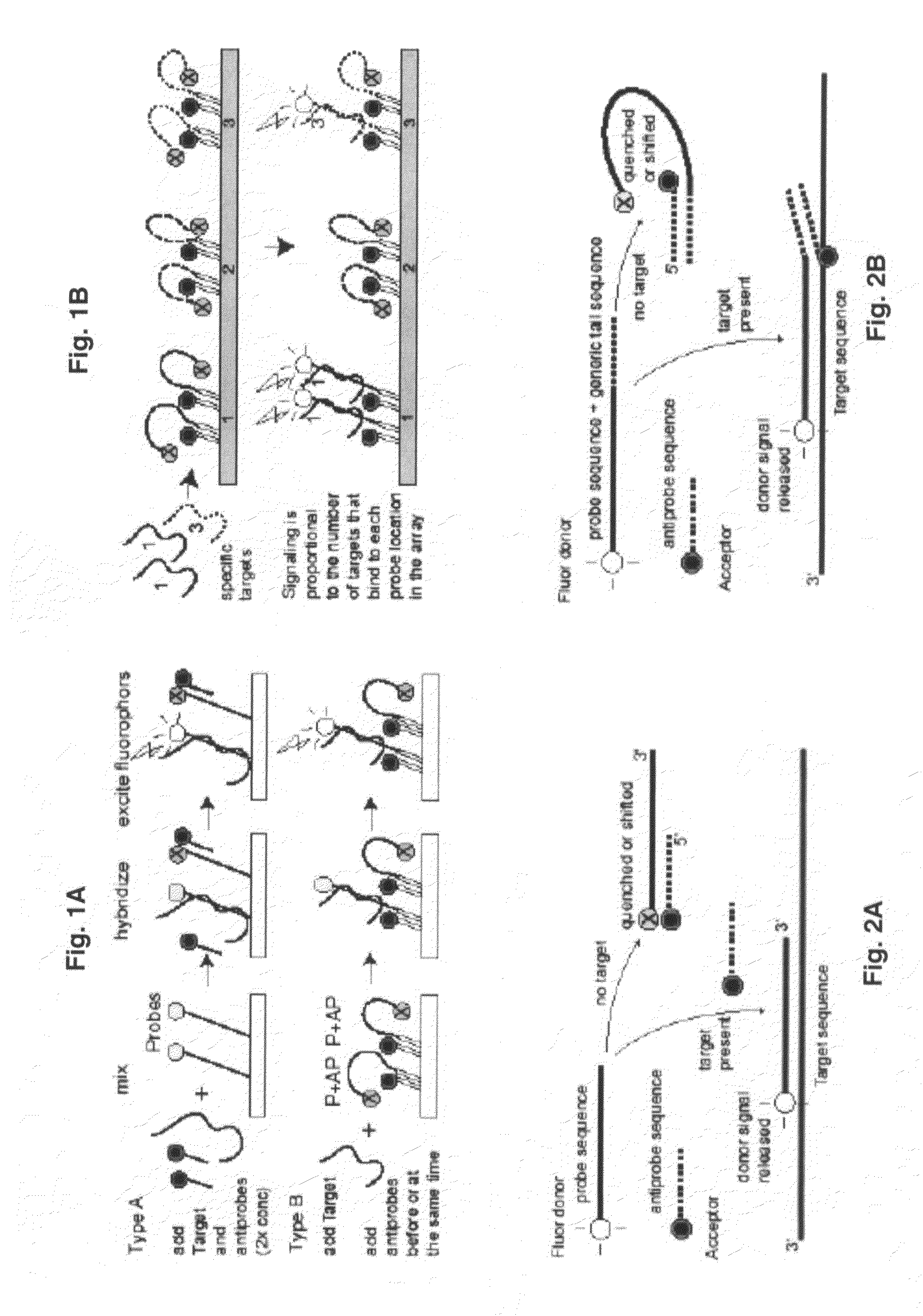 Probe-antiprobe compositions and methods for DNA or RNA detection