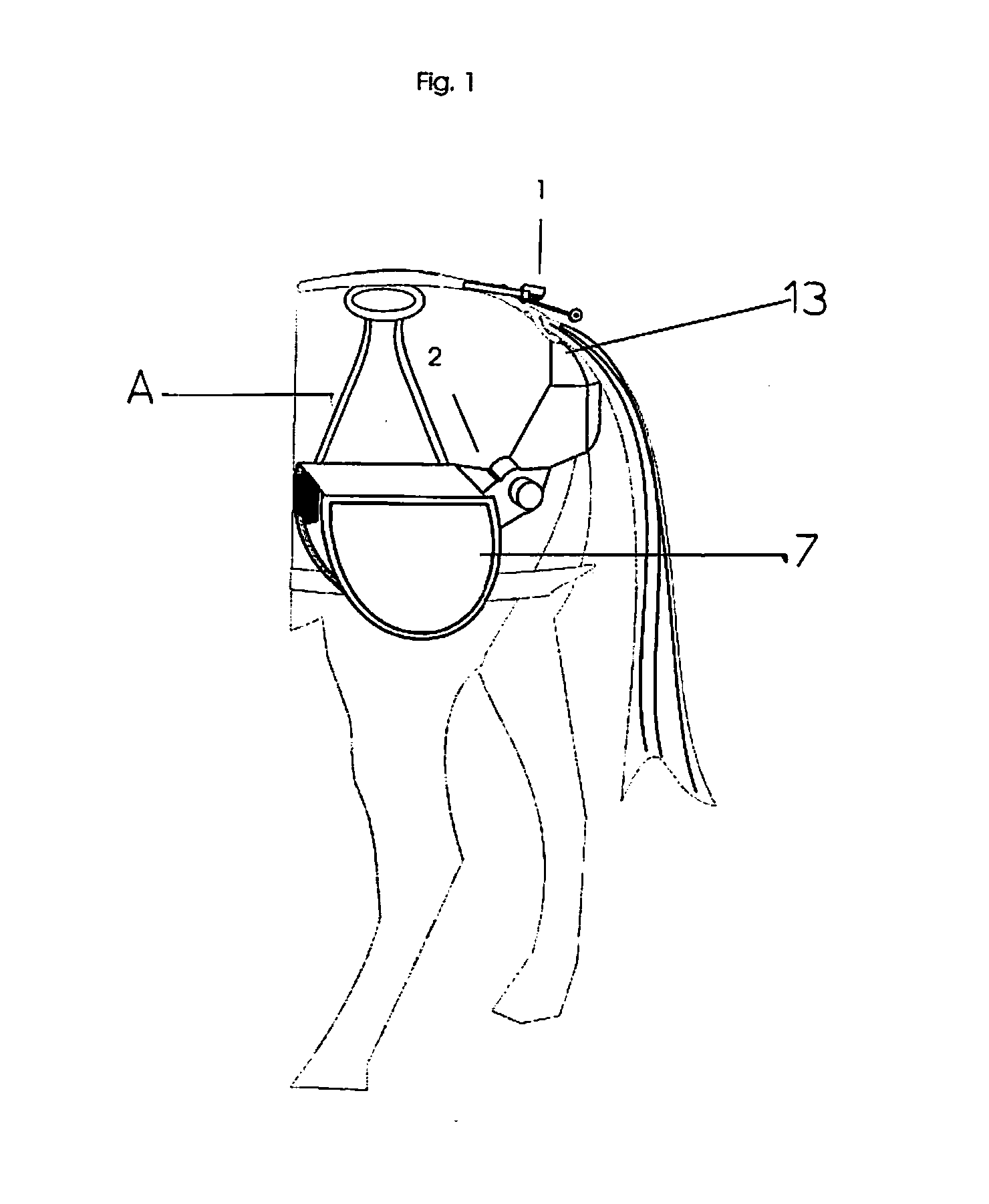 Equine faeces collection system