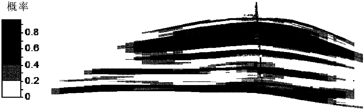 Modeling method and modeling system for reef type reservoir body