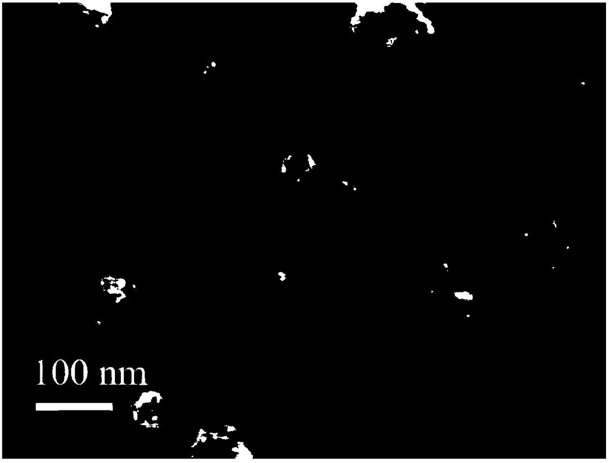 Photoelectrochemical analysis method based on pd quantum dots modified tio2 nanorods and its application