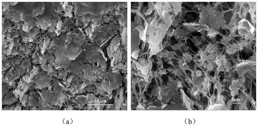 Thermally conductive polytetrafluoroethylene film with porous structure and preparation method thereof