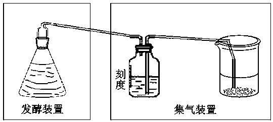 A method of using distiller's grains as raw material for high-temperature anaerobic fermentation to produce biogas