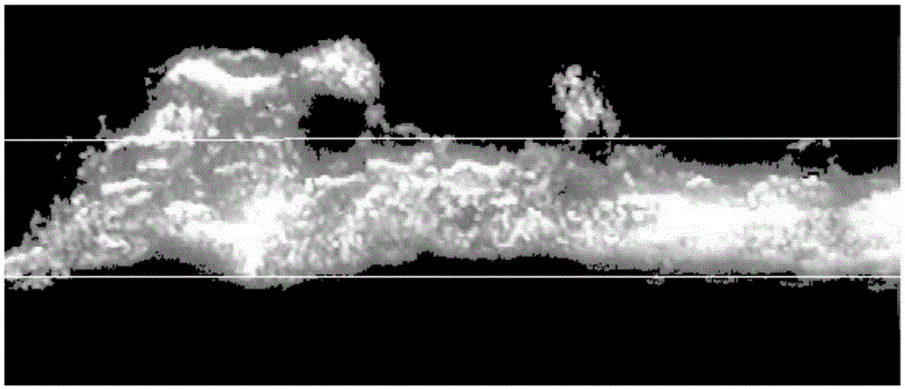 An online determination method of sintered fuel ratio