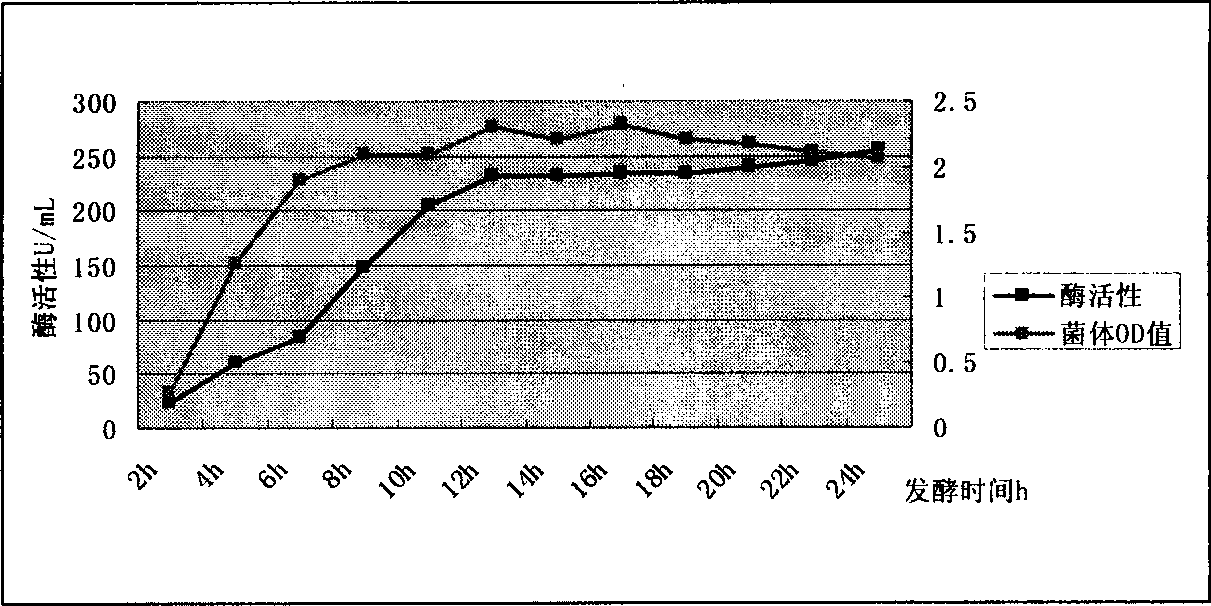 Alkaline pectinase genetic engineering bacteria and construction method thereof