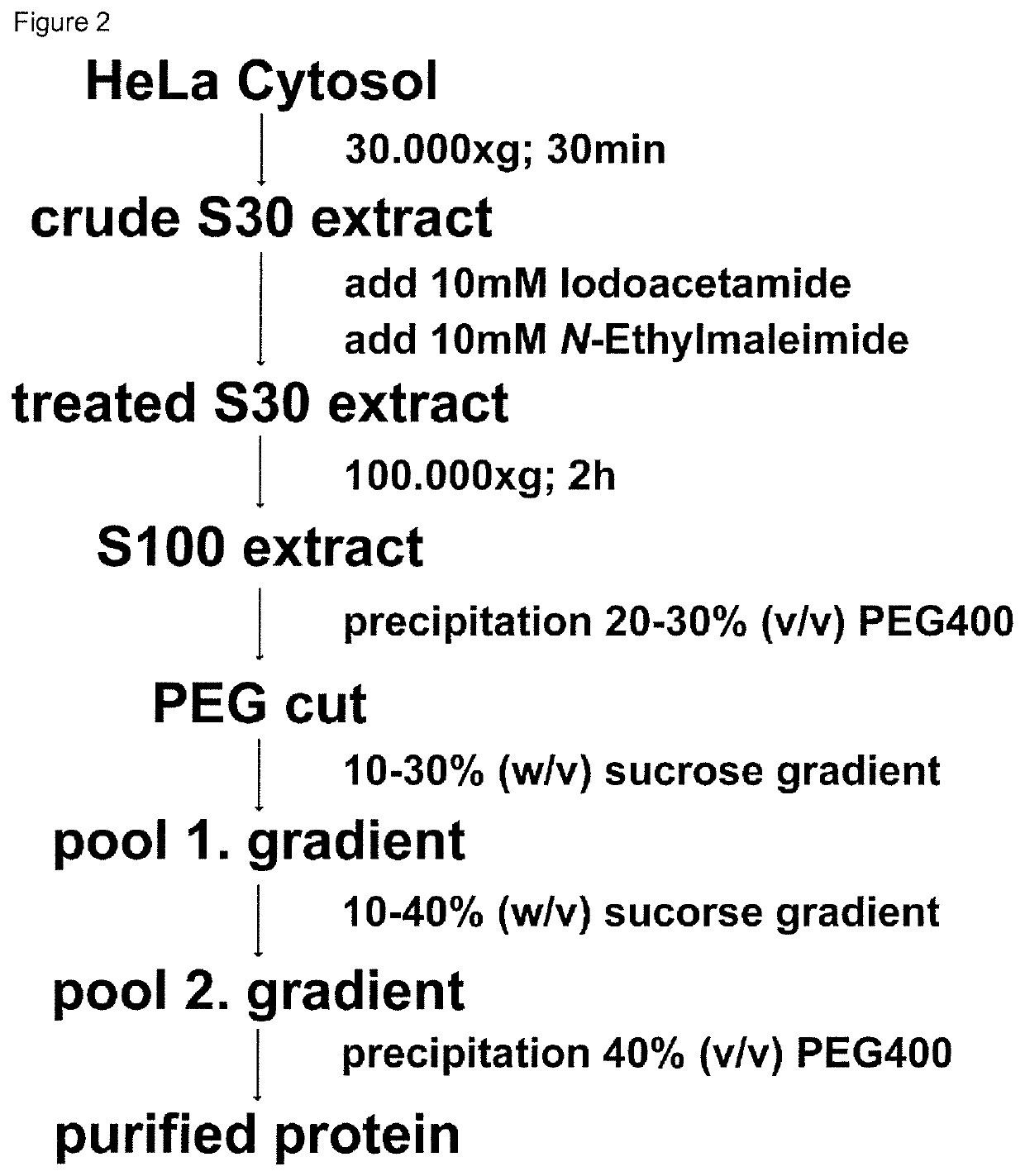 Method for the purification of biological macromolecular complexes