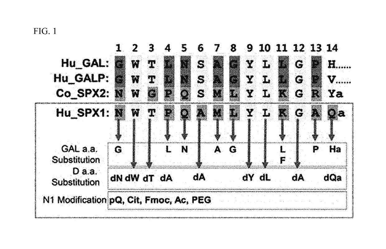 Agonist of spexin-based galanin type 2 receptor and use thereof