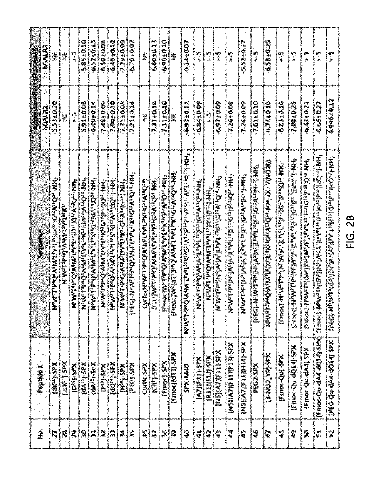 Agonist of spexin-based galanin type 2 receptor and use thereof