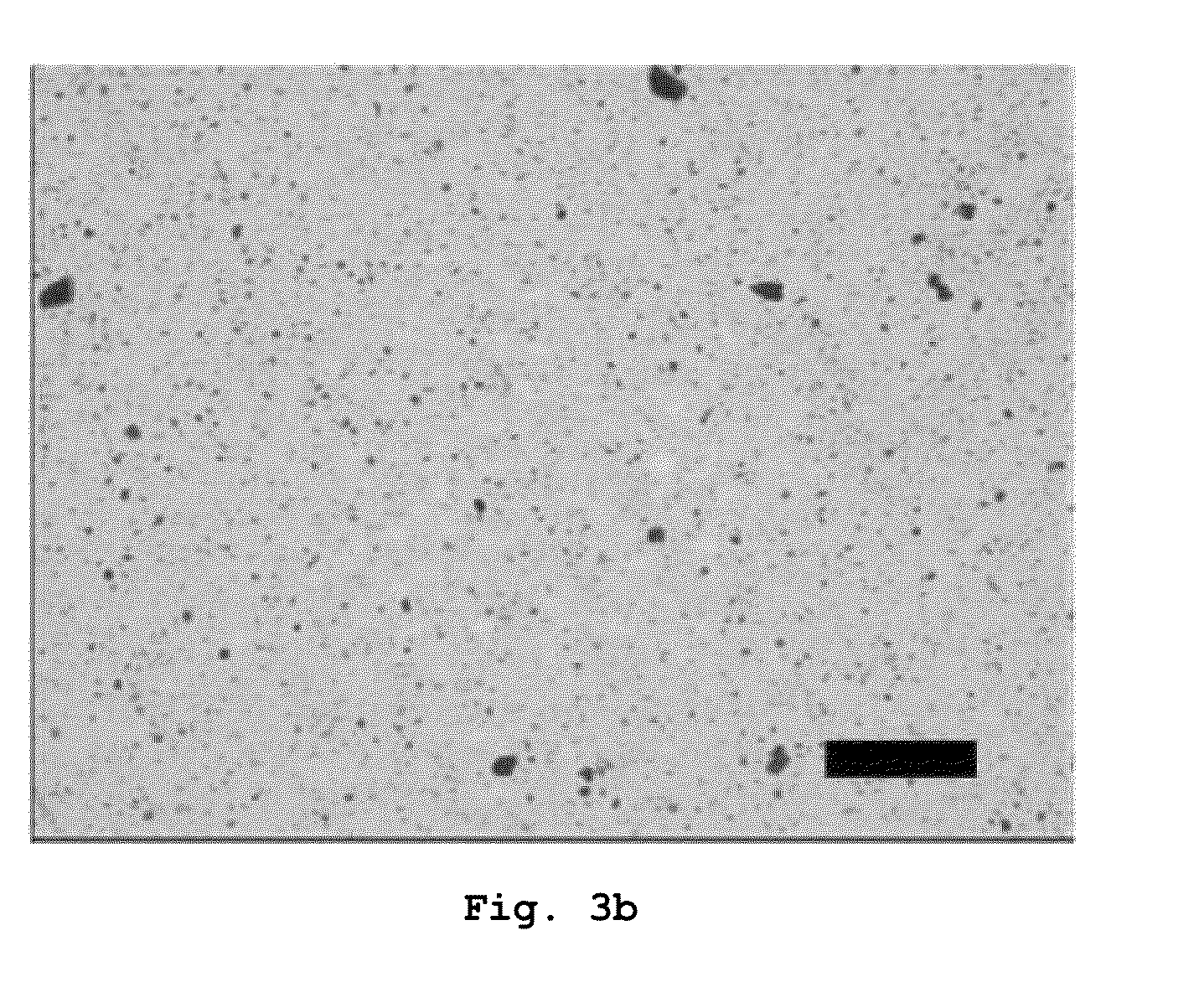 Insulation composition for DC power cable and DC power cable prepared by using the same