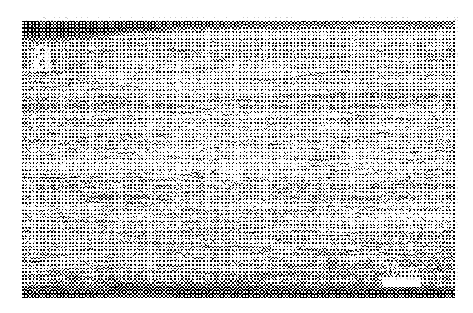 Method for promoting growth of GOSS textures of silicon steel strips by using pulse current