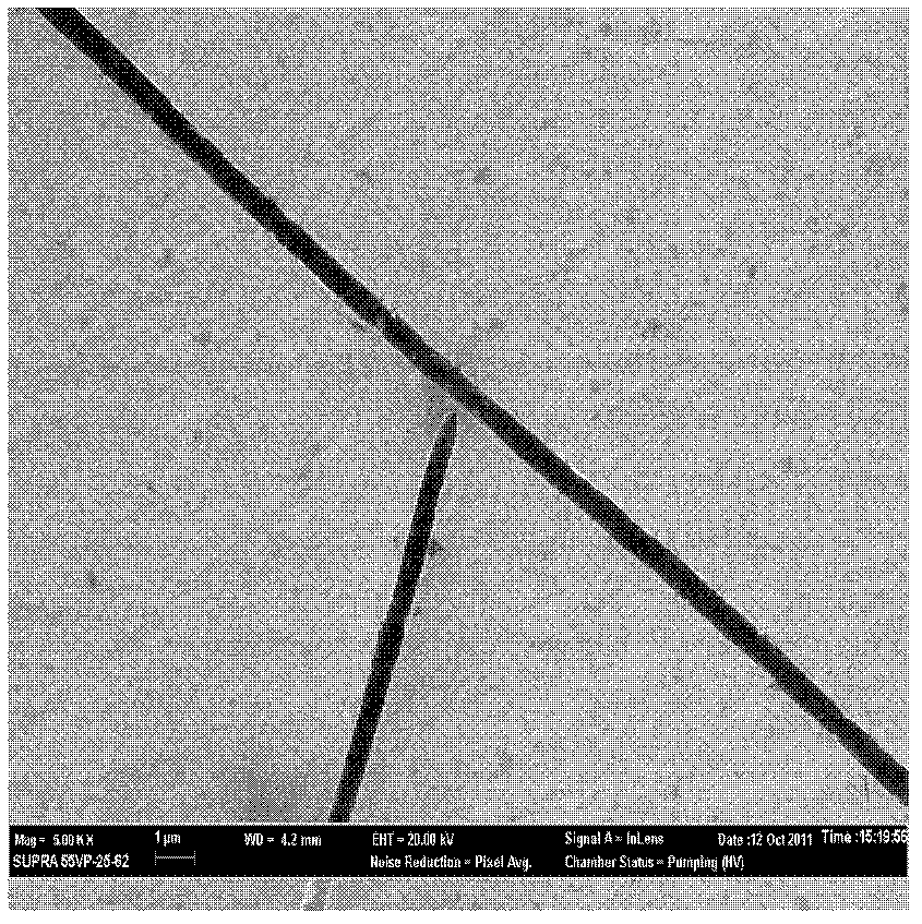 Sol-gel method for preparing micro/nano titanium dioxide and lyophobic film thereof on metal surfaces