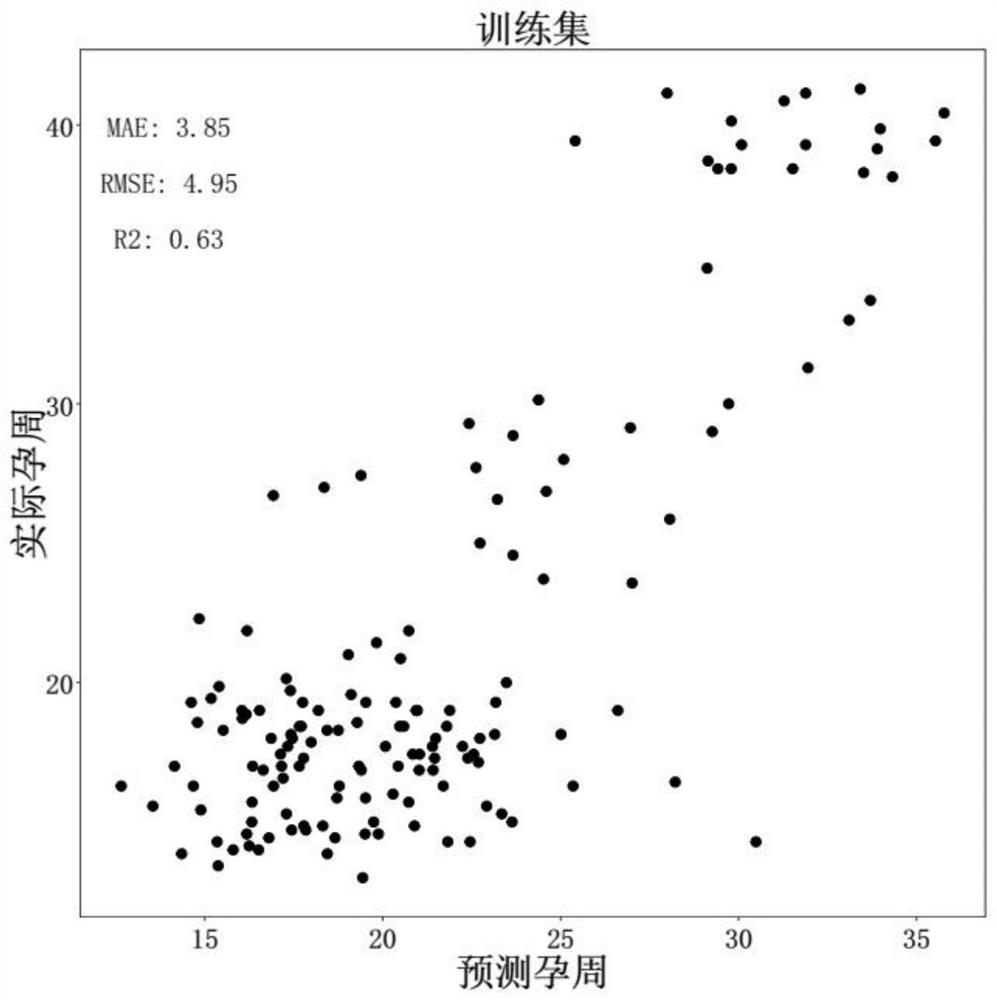 Target gene combination related to gestational age and application thereof