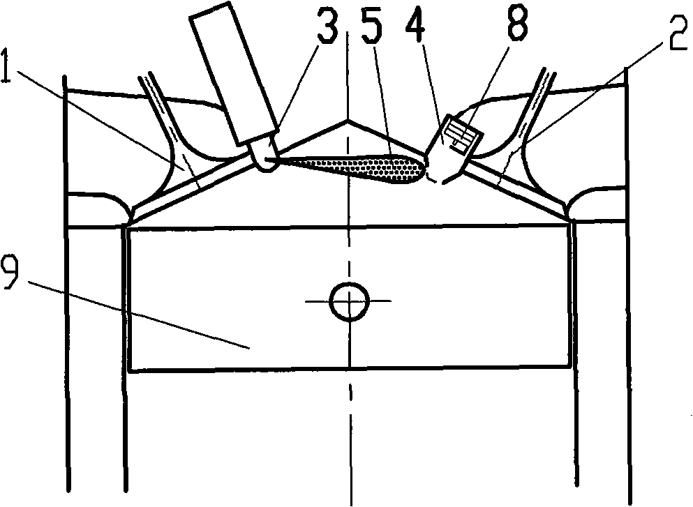 Fuel oil injection method of ignition chamber direct-spraying petrol engine