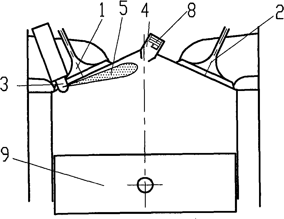 Fuel oil injection method of ignition chamber direct-spraying petrol engine