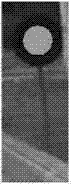 Vision-based combined navigation robot and navigation method