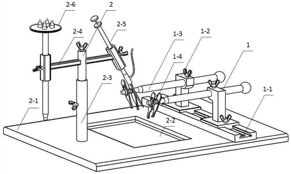 Animal dorsal root ganglion-spinal cord fixed imaging and compression injury combining device