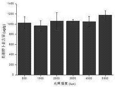 Shaking-standing liquid fermentation method for improving yield of mili fungus carotenoid