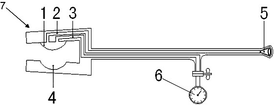 Renal artery directional blocking device