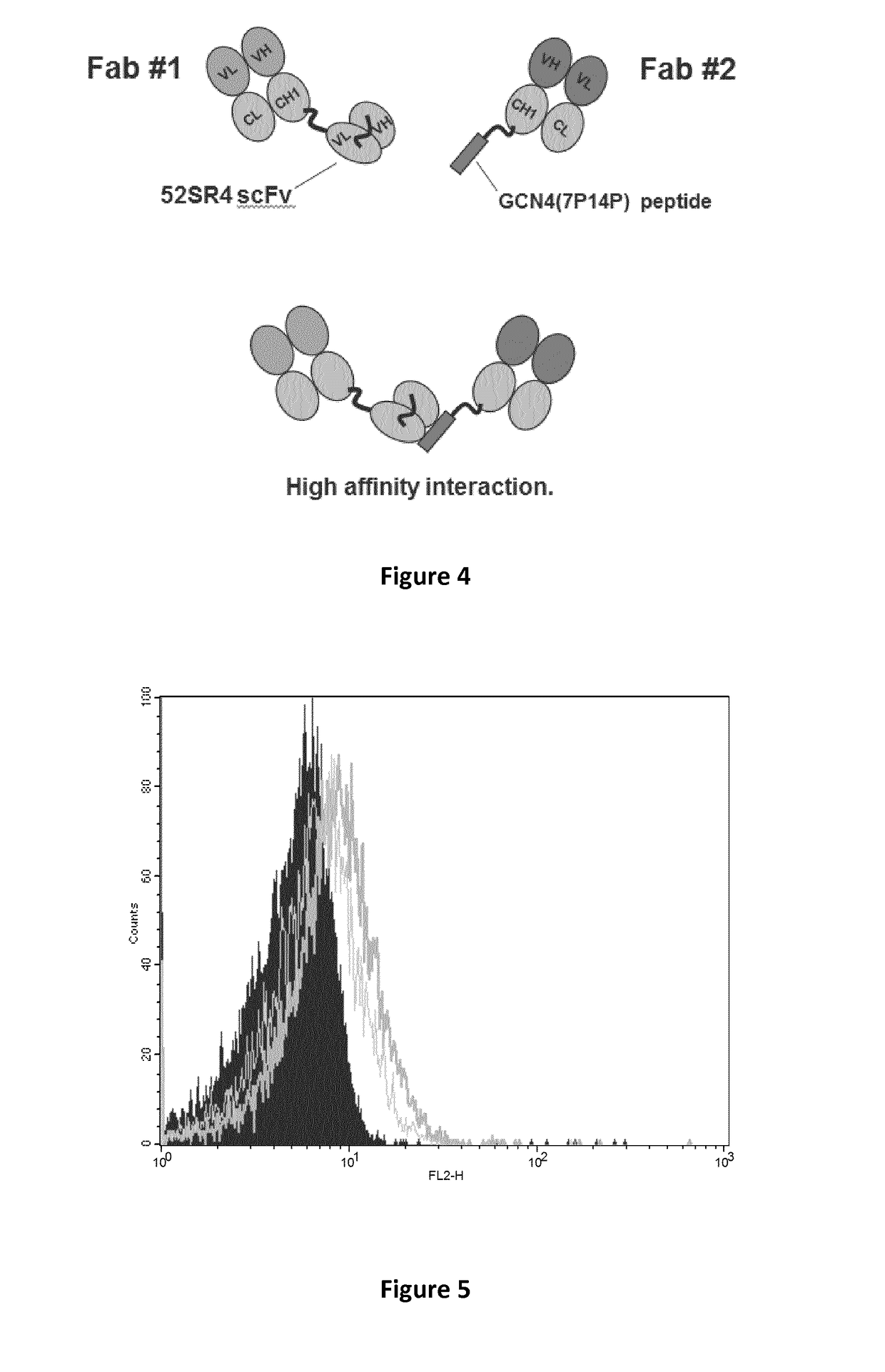 New bispecific format suitable for use in high-through-put screening