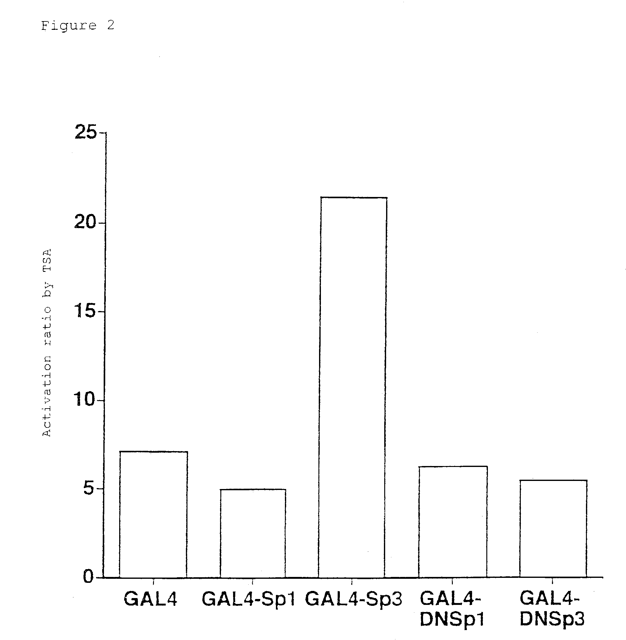 Method for screening anticancer agent