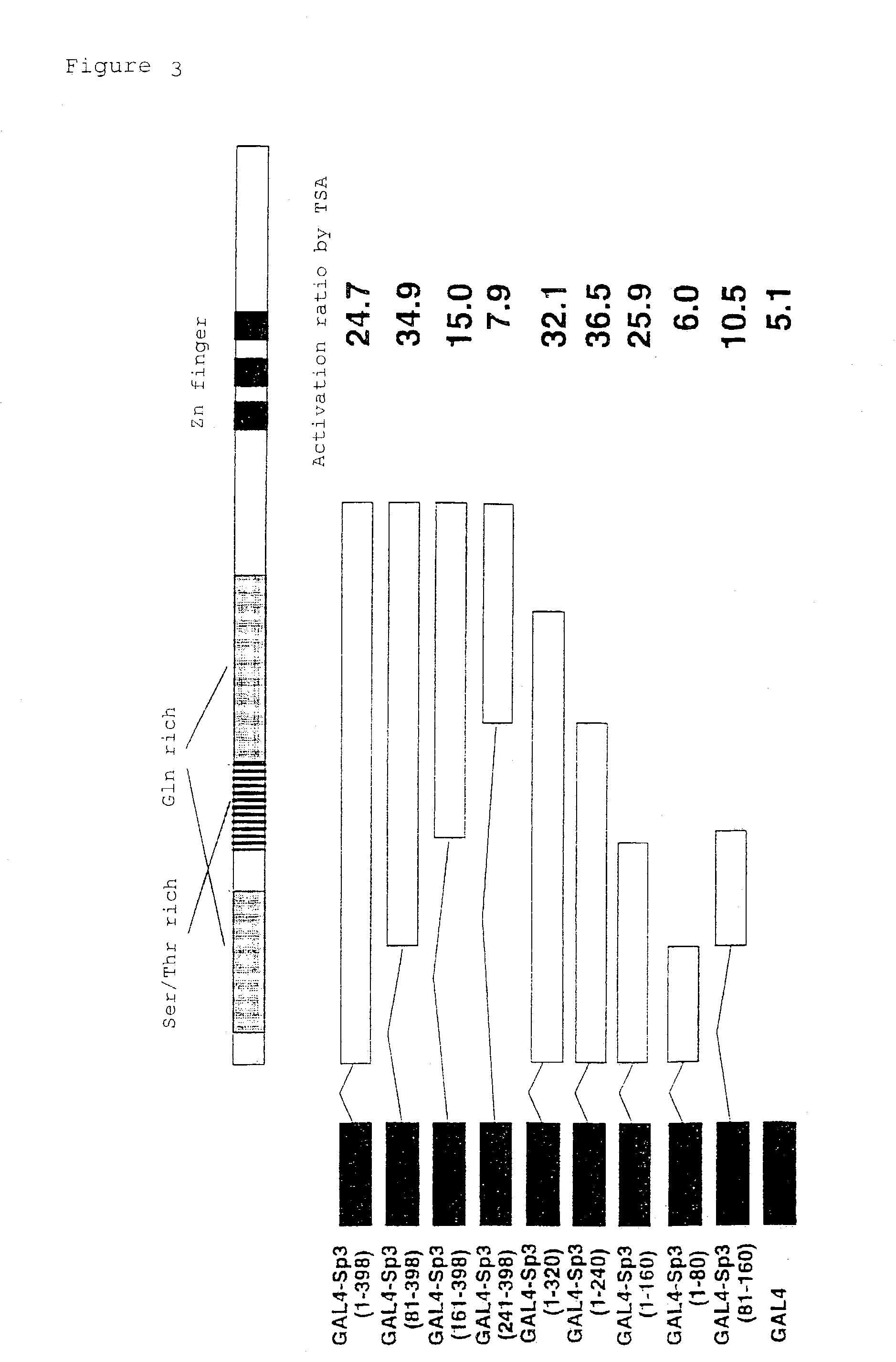 Method for screening anticancer agent