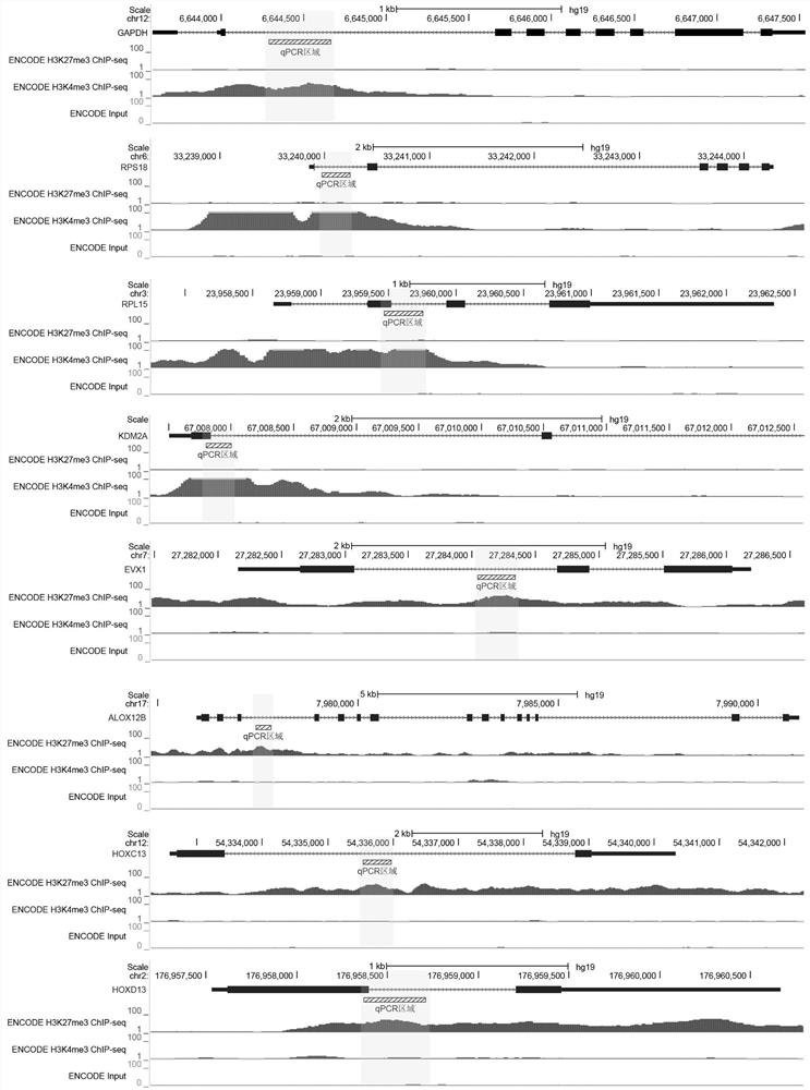 A Rapid Library Construction Method for Identifying Chromatin Binding Profiles of Target Proteins