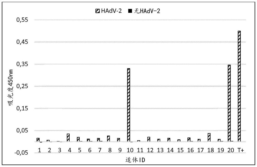 DNA aptamers specific of adenovirus types