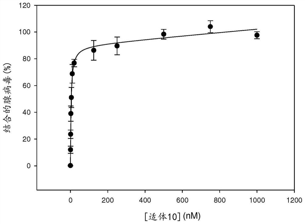 DNA aptamers specific of adenovirus types