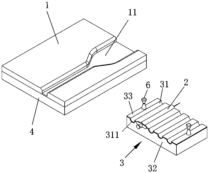 Mouse spinal tuberculosis model construction platform