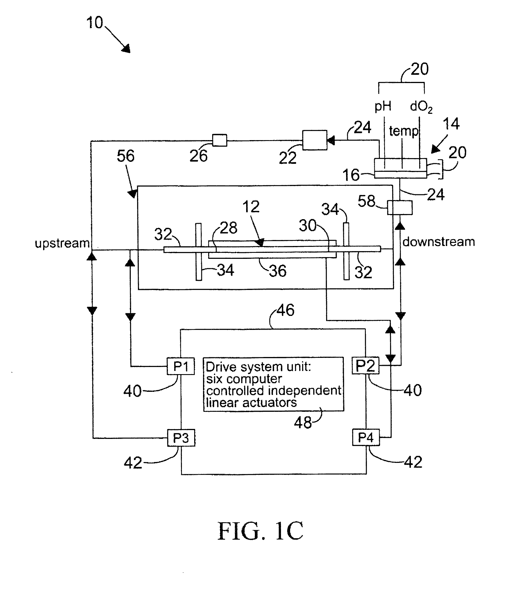 System and method to simulate hemodynamics