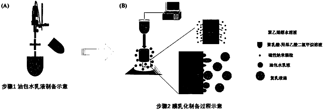 Preparation method of magnetic induction hyperthermia embolism microspheres