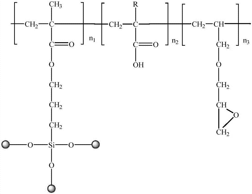 Antibacterial finishing method of cotton fabrics